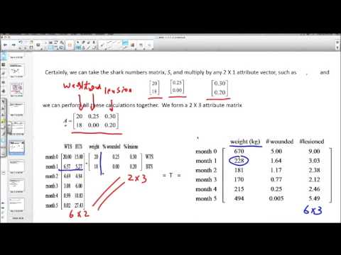 Module1 Lesson1 Part4 - YouTube