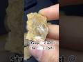 Stump pocket at the cabin site, quartz crystals and druzy. #quartz #crystals #crystal #druzy