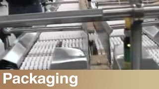Food Bars Conveyed on a Shuttleworth Gated SmartFeed Conveyor