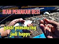 Castinger pasti suka ini, dikasih udang malah pilih makan besi