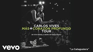 Video La Cañaguatera Carlos Vives
