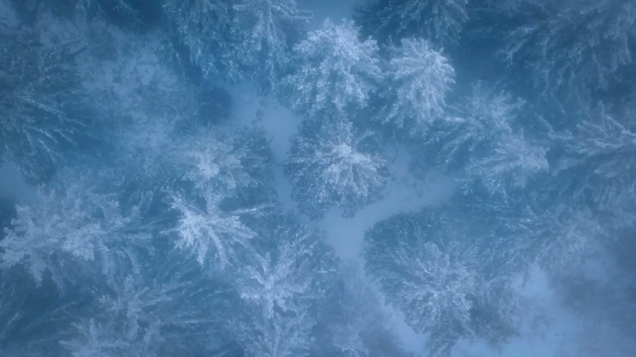 📍Black Forest 🌲 ❄️ 