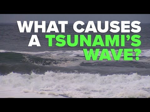 What causes a tsunami's wave?