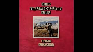 Watch Tragically Hip Born In The Water video