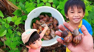 WOW SERU! Berburu Keong Bekicot Dan Siput Gepeng [Bekicot Siput Keong & Kelomang]