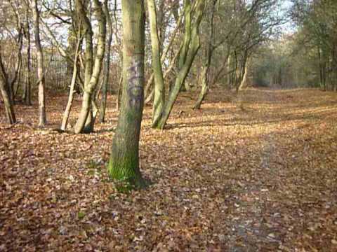 P Test Movie With Panasonic Lumix Dmc Fs62 Youtube