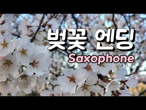 벚꽃 엔딩 ㅣ 봄 바람 휘날리며 흩날리는 벚꽃 잎이 울려 퍼질 이 거리를 둘이 걸어요 ㅣ 원곡 버스커 버스커 ㅣ 한명환 색소폰연주