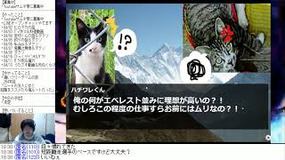 20200414 ショタコン的観点で痛いフリーゲームの旅 264本目「ニートの友人に女と就職をススメたら俺ルートだった（猫ギャグノベル）」（金）