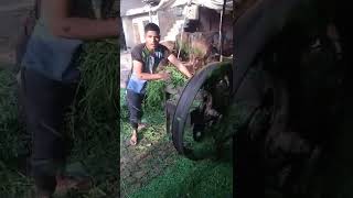 kutti kaatne baali machine  short short shortshort video