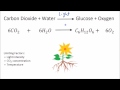 Rate of Photosynthesis - Limiting Factors | GCSE Science | Biology | Get To Know Science
