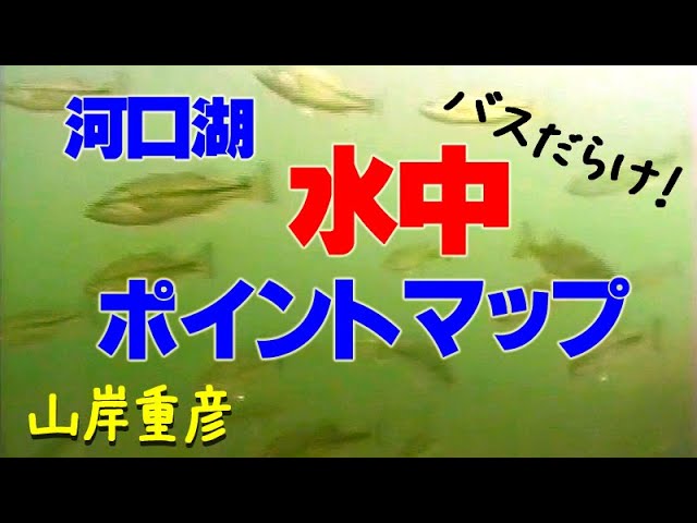 バスだらけ 河口湖水中ポイントマップ 山岸重彦 Lake Kawaguchi Under Water Point Map Youtube バスだらけ 河口湖水中ポイントマップ 山岸重彦 Lake Kawaguchi Under Water Point Map Youtube