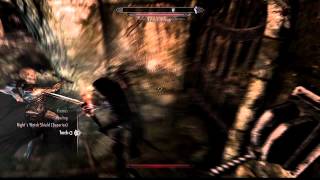 The Elder Scrolls V Skyrim in Platform / Room Camera Mode! (Bizarre Bug)