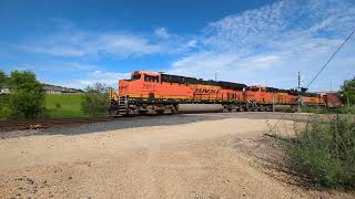 Two trains in Cottage Grove