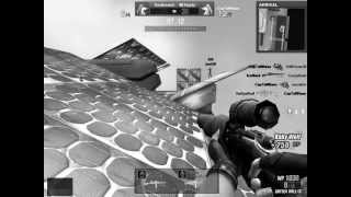 WolfTeam Pro Zaitsev