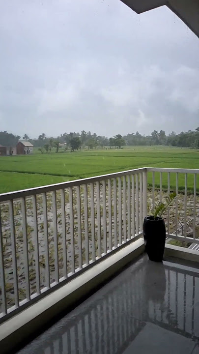 Ngeri-ngeri sedap !! Rekam video ketika hujan deras di tengah sawah