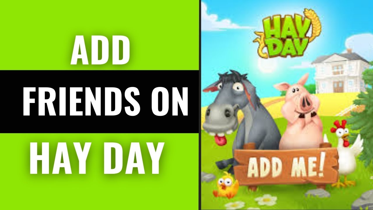 How to Add Friends on Hay Day 2025 - YouTube