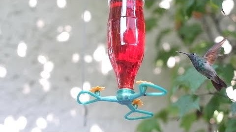 3D Printed Hummingbird Feeder