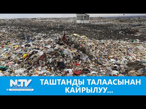 Видео: Таштанды талаасынан кайрылуу... // маек