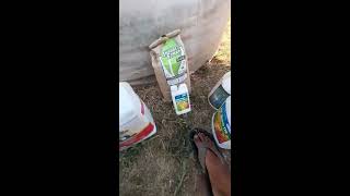 Pest and bug control for organic cannabis!
