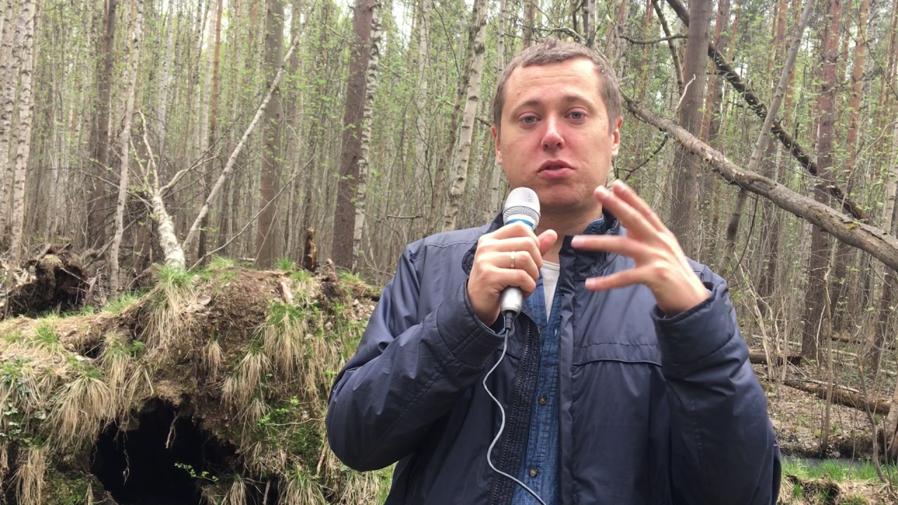 Алексей Чеботарев о тренинге Ильи Шареля \"МАСТЕР\" - YouTube