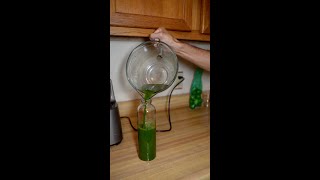 This Green juice is life changing! Perfect for Fasting and cellular repair