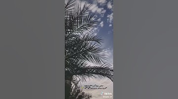 حالات واتس اب دينيه للقارئ عبدالله الموسى ❤️😴