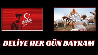 Mehmet Ayan - Deliye Her Gün Bayram.