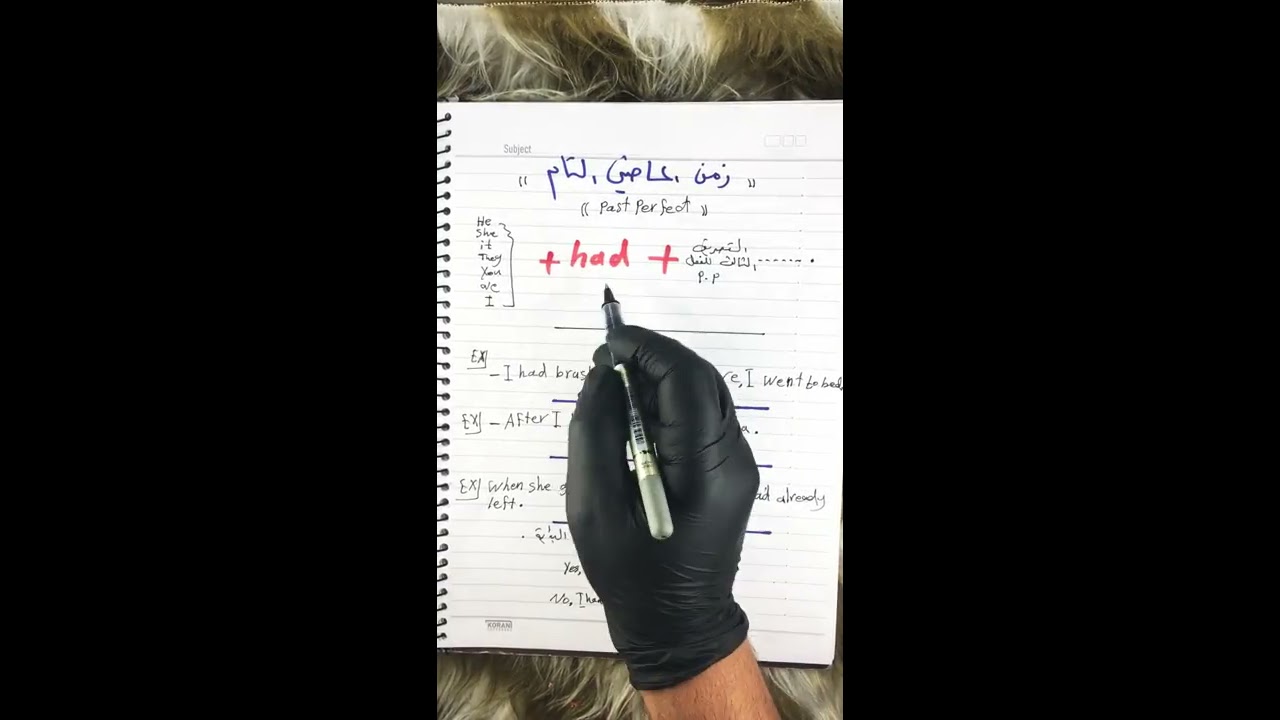 قائمة القواعد : شرح زمن الماضي التام (the past perfect)