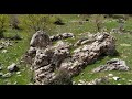 BÜYÜK HAZİNESİ OLAN AT İŞARETİ