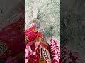 Khali paye hatar upokarita