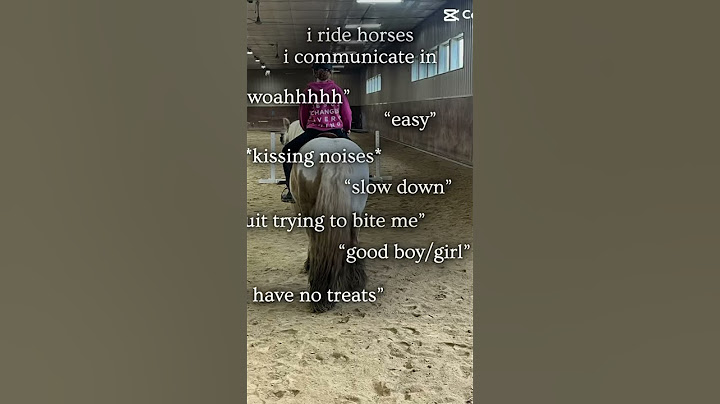 The way we talk 😂😍 #equestrianjourney #equestrian #pony