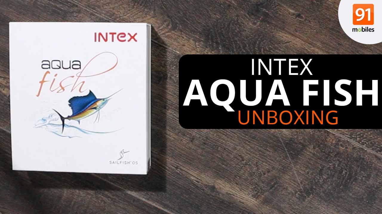 Intex Aqua Fish: Unboxing [Quick]