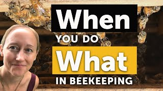 BEEKEEPING 101: WHEN TO DO EVERYTHING! Feeding, Harvesting, Splitting, Swarming & MORE