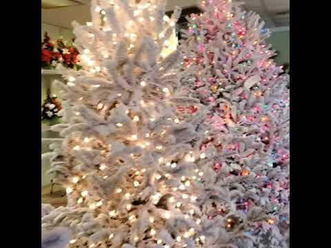 Christmas Tree Shopping