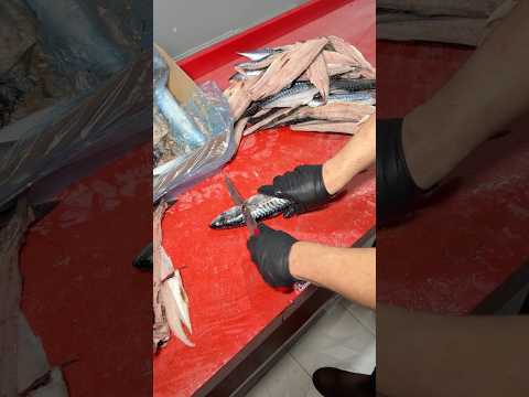 Donmuş uskumru balığı nasıl temizlenir