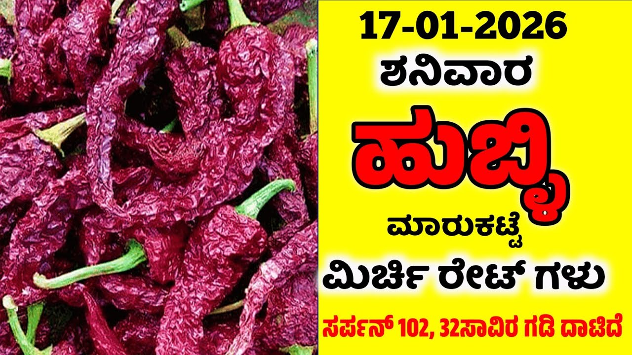 17-01-2026  Hubli Market Mirchi Rates | Today Mirchi Rate | Hubli Market | Byadgi Market 