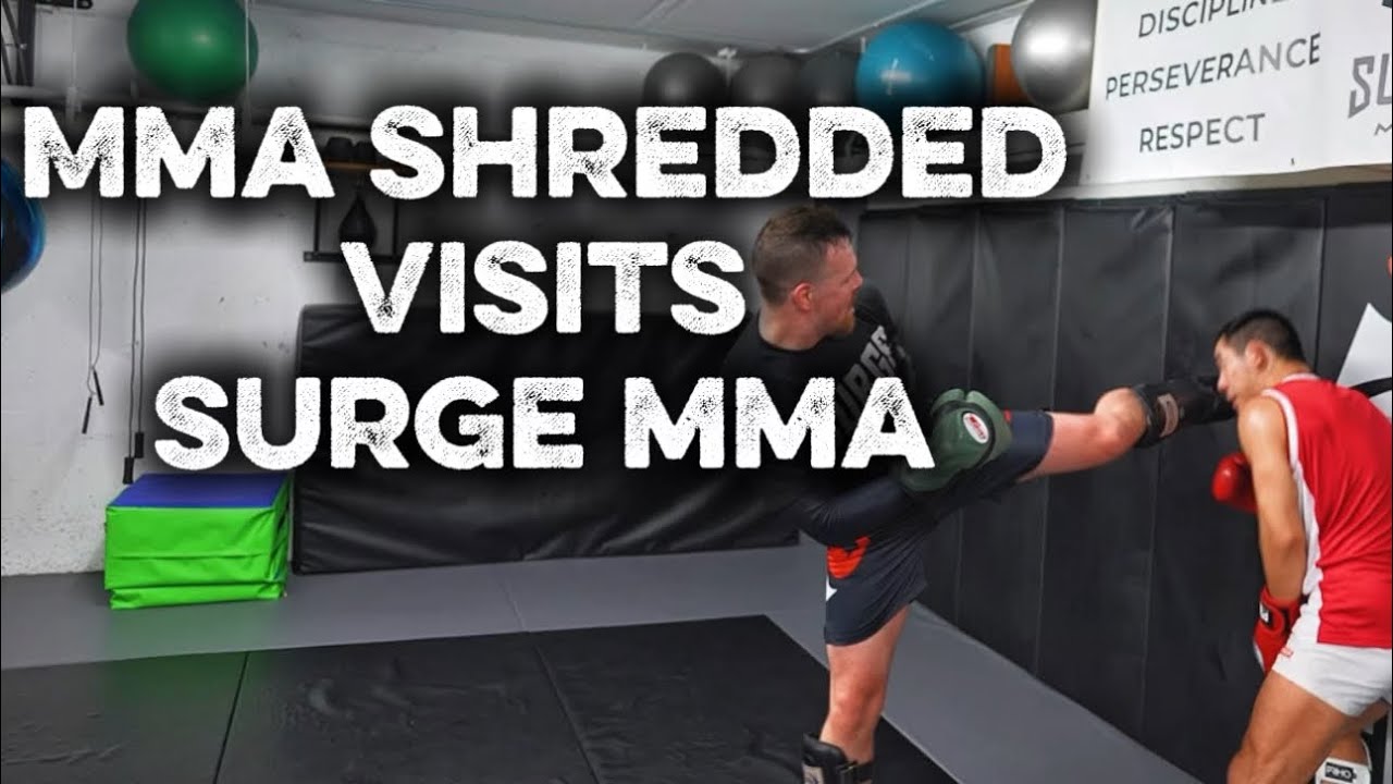 Pro Sparring w/ Jeff Chan (MMA Shredded) – Technical Breakdown