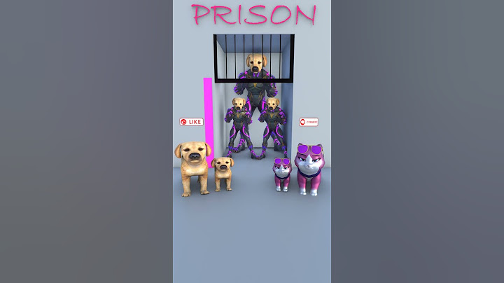 Dogs & Cats. Which animal do you choose to win?#cat #dog #funny #shortvideo