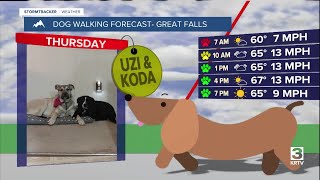 Dog-walking forecast (September 4, 2025)