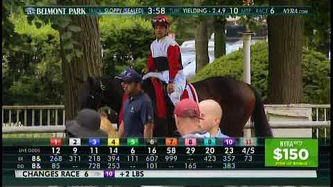 Kathryn the Wise - Paddock Footage