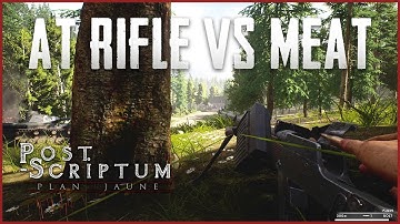 AT Rifle Vs Meat in Post Scriptum Panzerbüchse 39