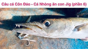 Câu cá Côn Đảo - Cá Nhòng ăn con Jig (phần 6)