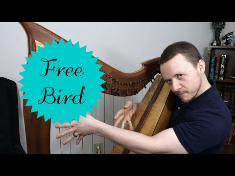 "Free Bird" harp tutorial | Jonathan Schaefer, Harp & Song
