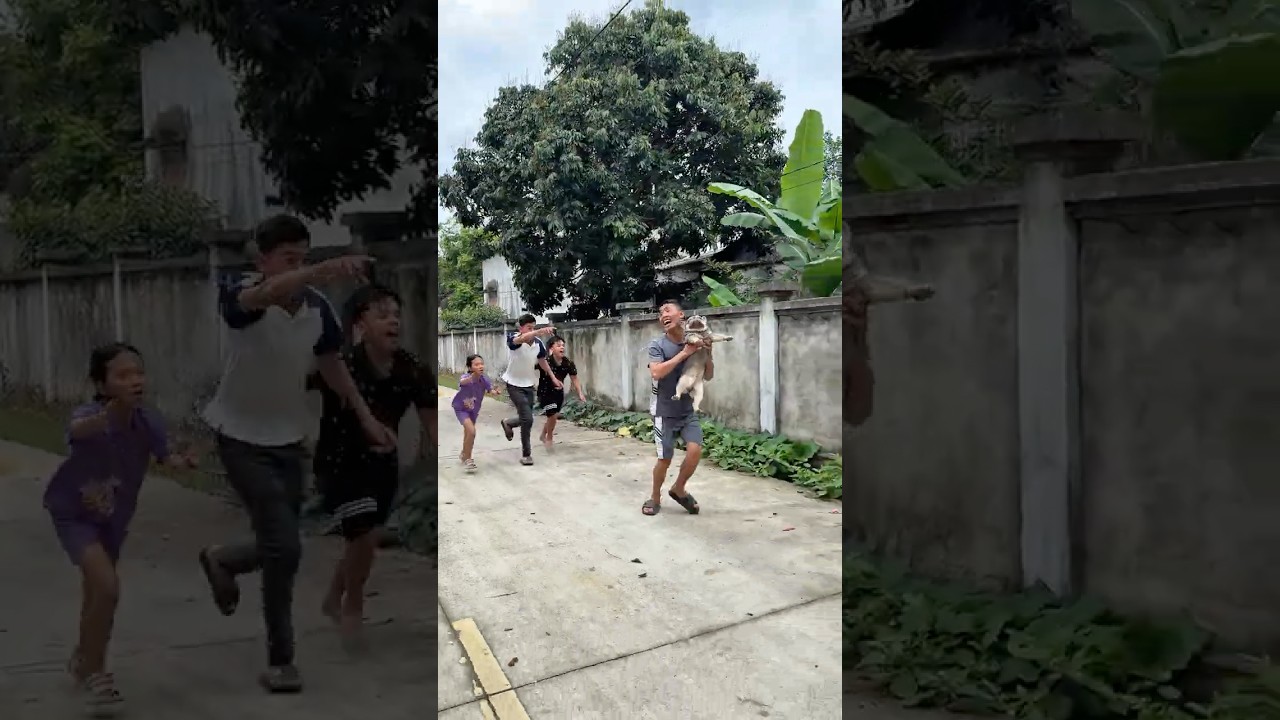 The Fat Dog Gets Kidnapped by a Villain – And the Ending Will Surprise You 