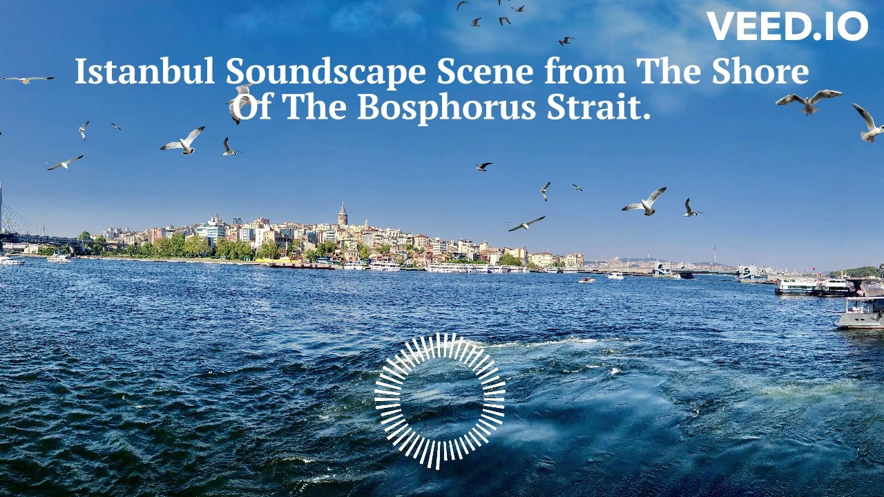 Istanbul Soundscape Scene from The Shore Of The Bosphorus Strait