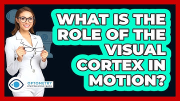 What Is The Role Of The Visual Cortex In Motion?