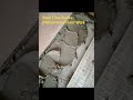 Perfect Adhesive Spreading for Tiles