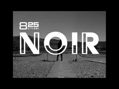 Introducing the Citori 825 - Noir Sporting