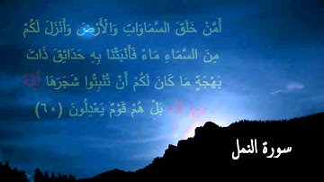 محمود حجازى سورة النمل من 58 الى 62