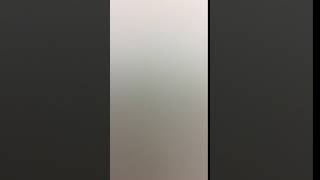IMG 6588